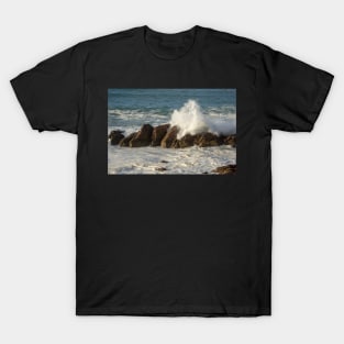 Sea spray. T-Shirt